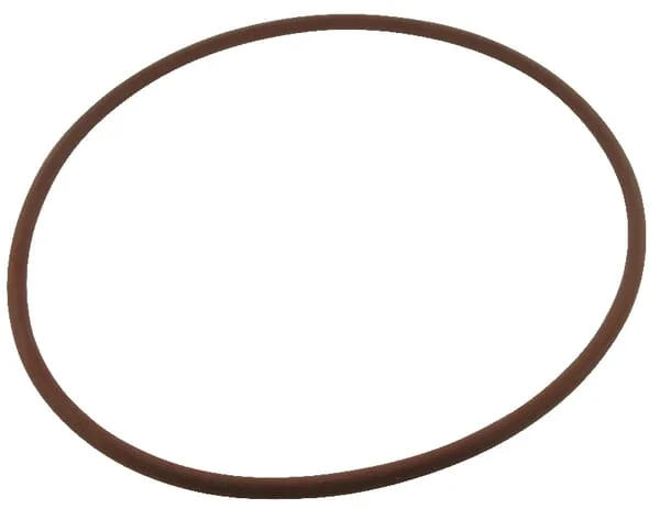 Case IH - 3230853R1 - O-Ring
