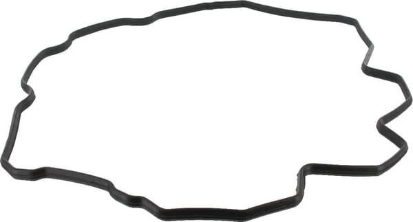 Case IH - 504070037 - Zylinderkopfdichtung