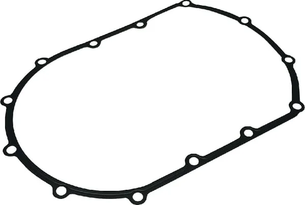 Case IH - 504290773 - Dichtung