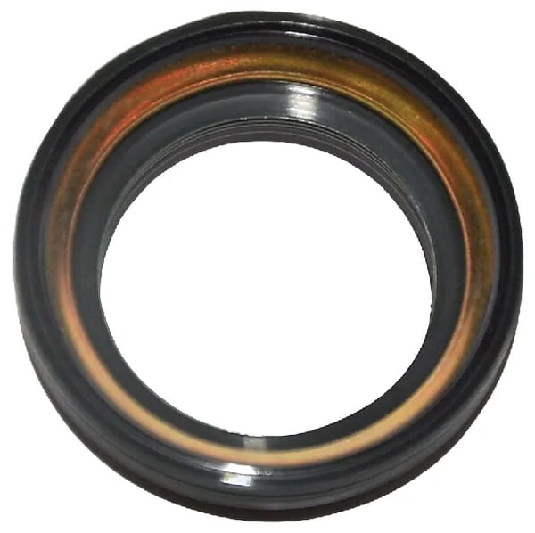 Case IH - 5131746 - Dichtung