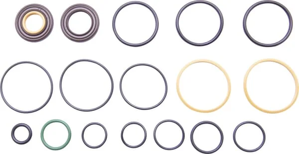 Case IH - 85824281 - Dichtungssatz