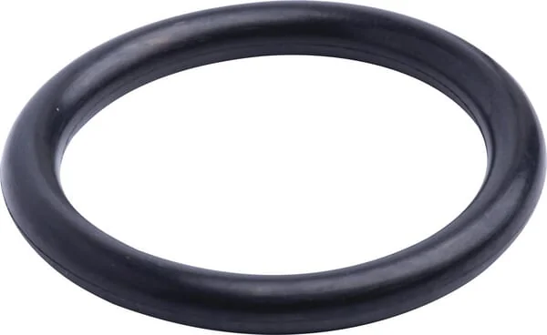 Case IH - 86629540 - Dichtungsring