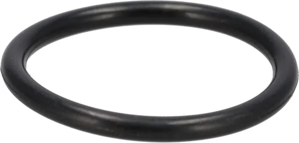 Case IH - 9672549 - Ring