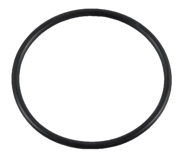 Case IH - 9991976 - O-Ring