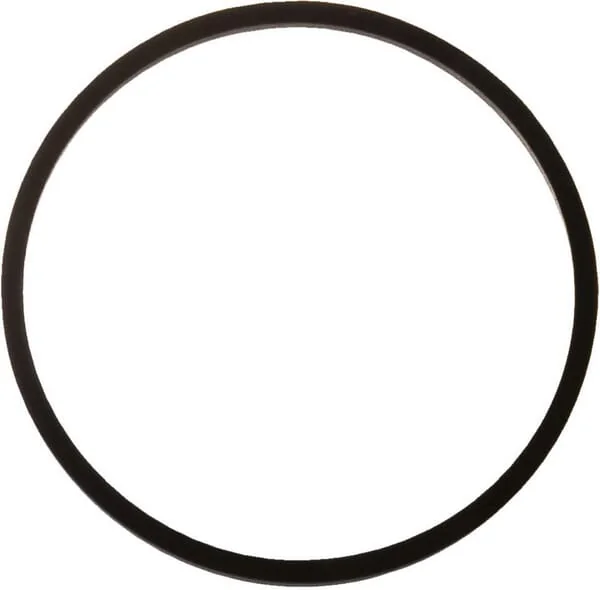 Case IH - A175509 - Dichtring