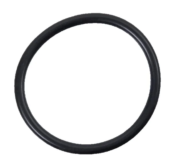 Case IH - E1NN3125AA - O-Ring-Sicherung CNH