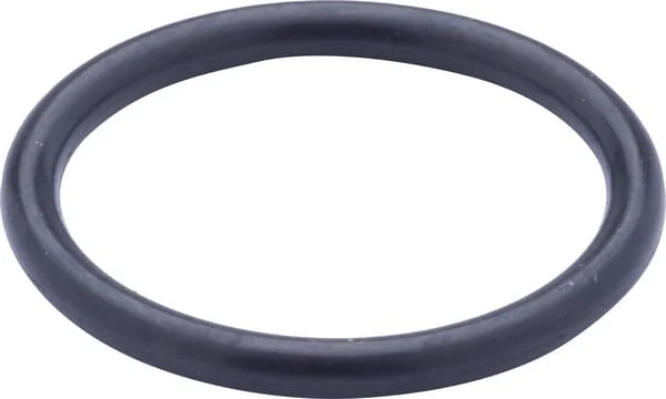 CNH - 128359 - O-Ring