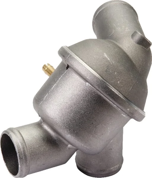 CNH - 131100060065 - Thermostat Steyr