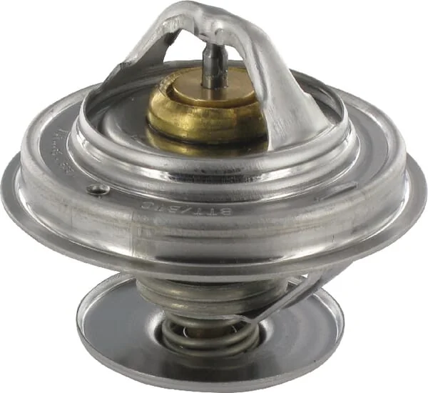 CNH - 162000060702 - Thermostat 83° C Steyr