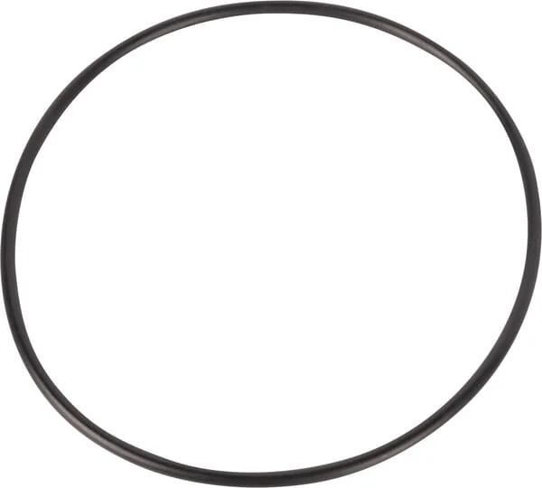 CNH - 81827354 - O-Ring