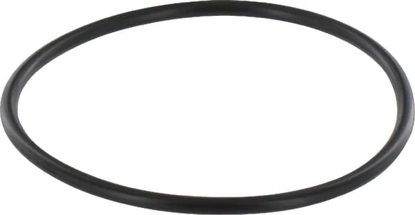 CNH - 84417142 - O-Ring CNH