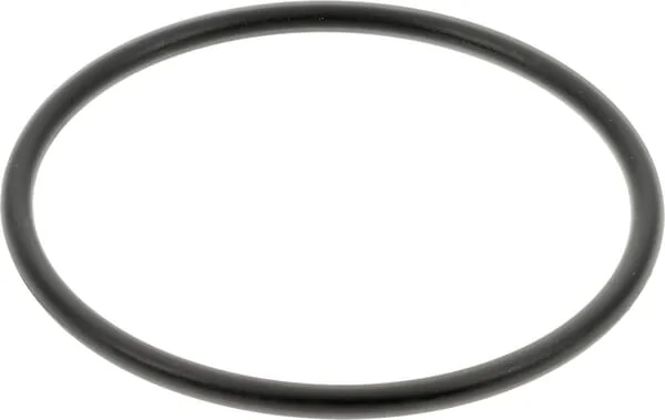 CNH - 9820460 - O-Ring