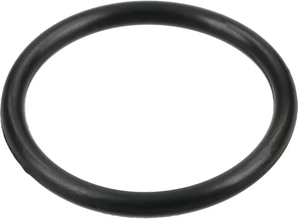 Comet - 12100037 - O-Ring 25x2.5mm 70 Shore EPDM Schwarz