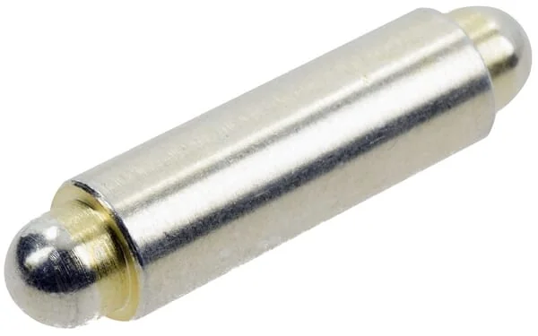 Dana Spicer - 000146096 - Spitze
