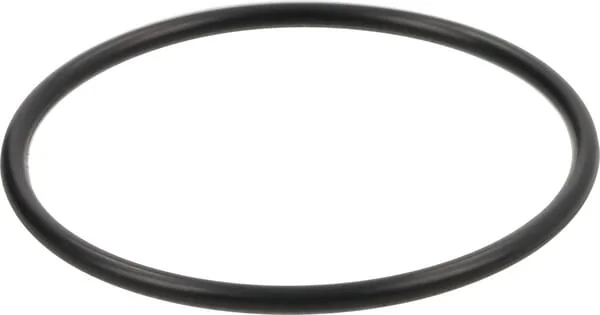Dana Spicer - 001050519 - O-Ring