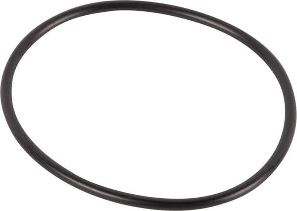 Dana Spicer - 001050746 - O-Ring