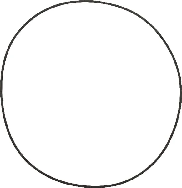 Dana Spicer - 001051037 - O-Ring