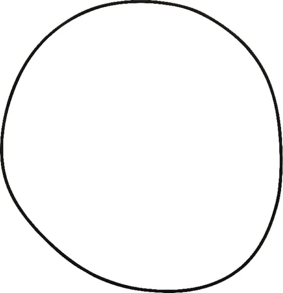 Dana Spicer - 001051178 - O-Ring