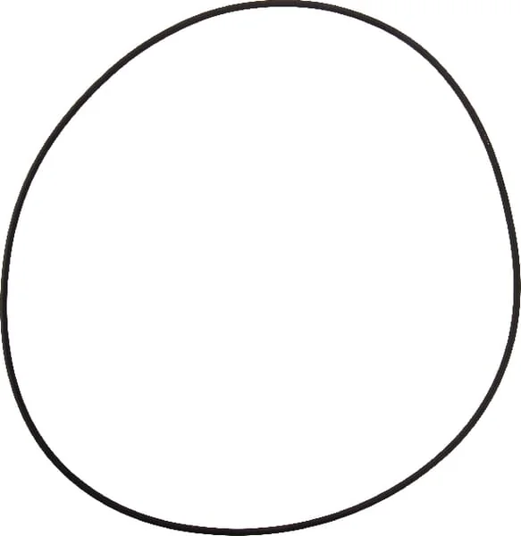 Dana Spicer - 001051352 - O-Ring