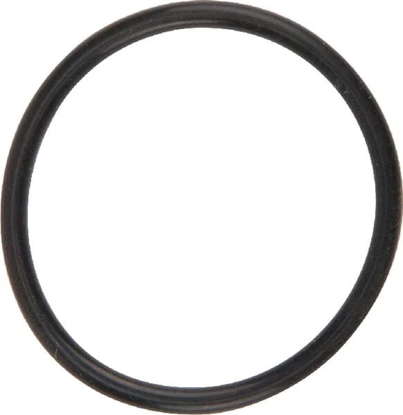 Dana Spicer - 001051358 - O-Ring