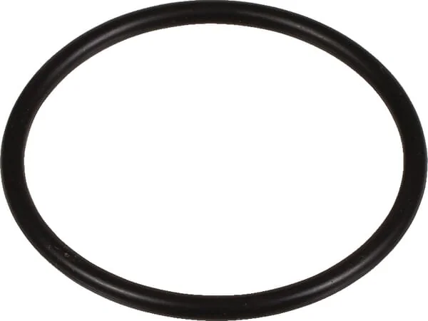 Dana Spicer - 001051423 - O-Ring