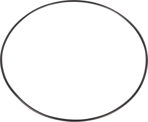 Dana Spicer - 001051443 - O-Ring