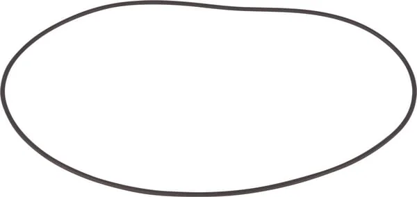 Dana Spicer - 001053300 - O-Ring