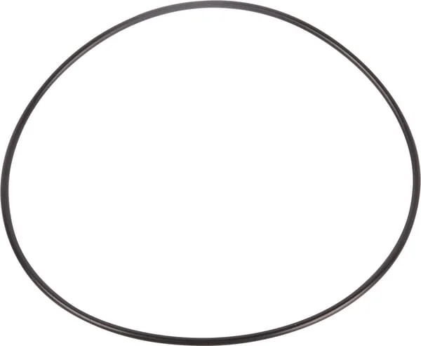 Dana Spicer - 001053333 - O-Ring