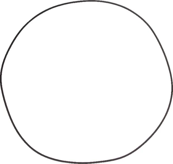 Dana Spicer - 001053338 - O-Ring