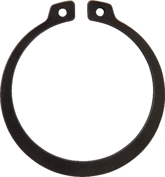 Dana Spicer - 002010078 - Ring