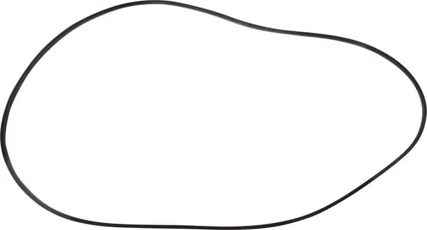 Dana Spicer - 232535 - Dichtung