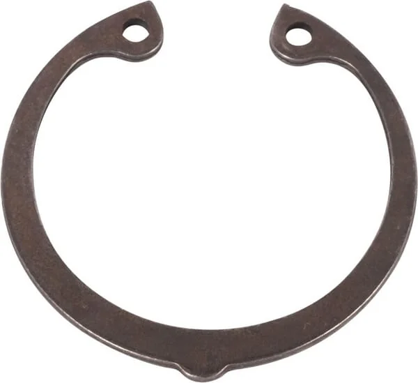Dana Spicer - 3764822M1N - Elastischer Ring