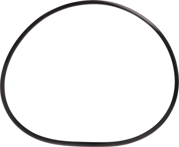 Dana Spicer - 7380710401 - Back-Up-Ring