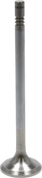Deutz - 04903006 - Auslassventil