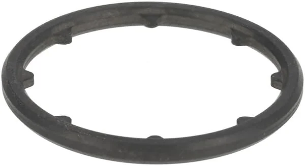 Deutz - 04910022 - Gummipackungsring