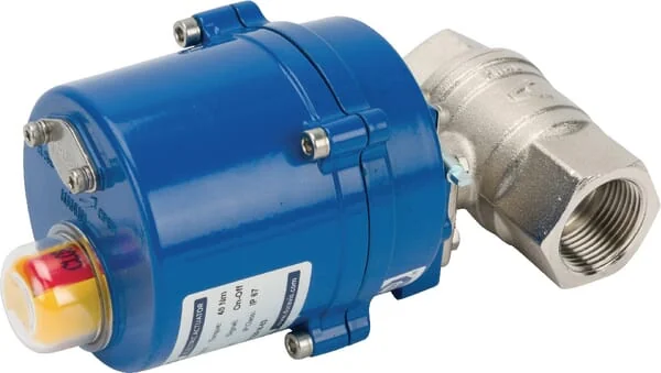 Duravis - BLV025ACT24VACDC - Kugelhahn 1" Elektrisch