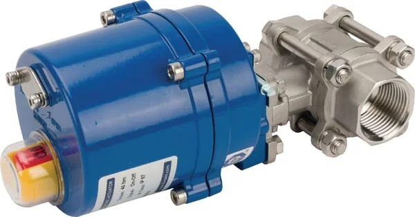 Duravis - BLV025SSACT24VACDC - Kugelhahn 1" elektrisch