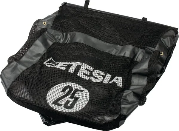 Etesia