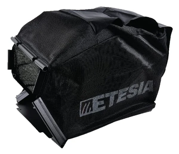Etesia