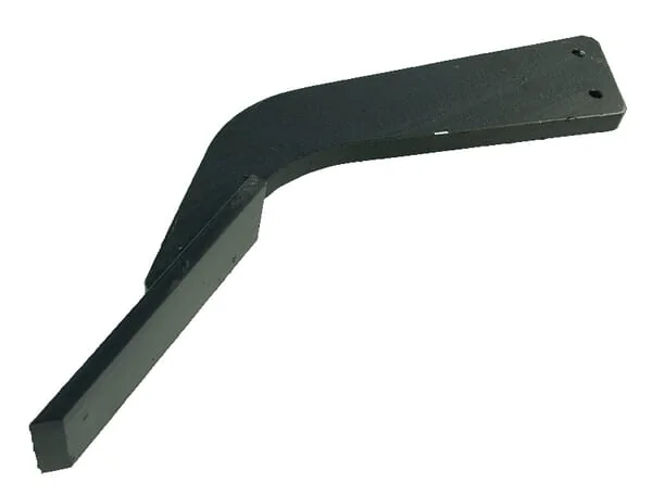 Evers - 993430 - Zahn