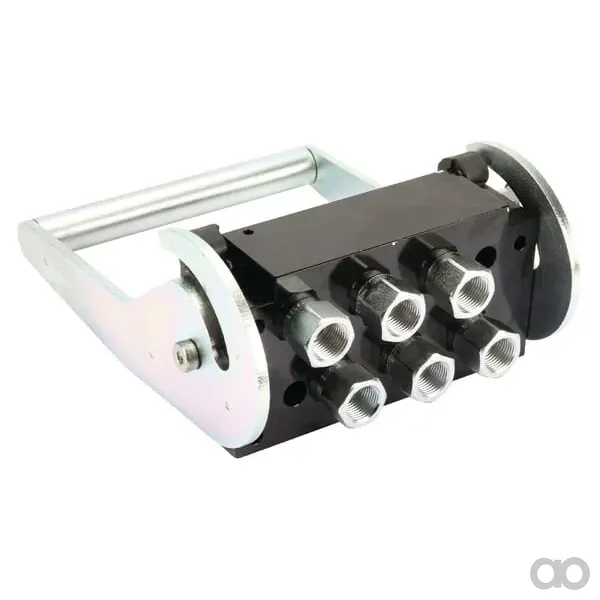 Faster - 2P606612GFC - Multifaster-Kupplung DN10-6 x 1/2" BSP Festteil, Weiblich