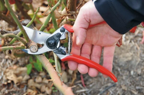 Felco - ES8811 - Felco Gartenschere Nr. 11