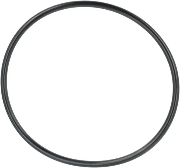 Fendt (AGCO) - F339860060010 - O-Ring