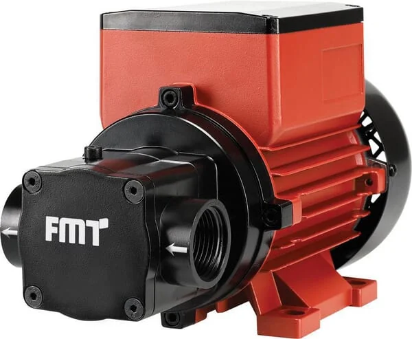 FMT