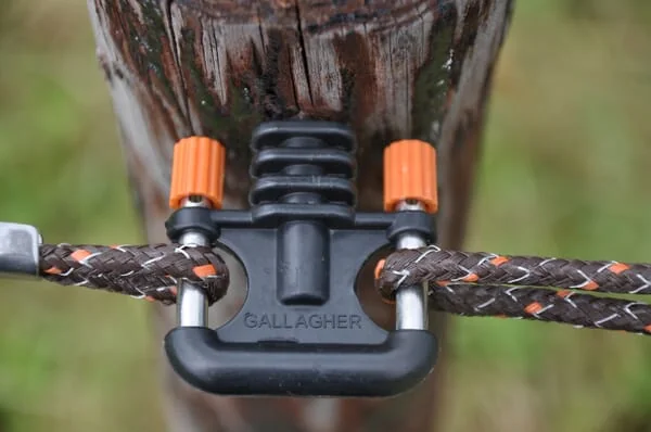Gallagher - 028986GAL - Torriegelanker (5x)