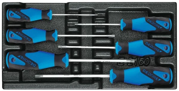Gedore - 1500ES2163TXB - Modul-Schraubendrehersatz Torx® 6x