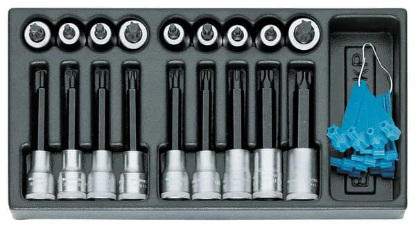 Gedore - 1500ESITX19LKP - Modul Torx-Steckschluessel 19-Tlg