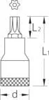 Gedore - DPITX19BT20 - Torx-Nuss 1/2" + Loch T20, Einsatzeinsatz