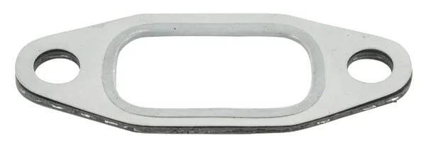 Glaser Dana - F184230090070N - Ansaugund Abgaskruemmerdichtung