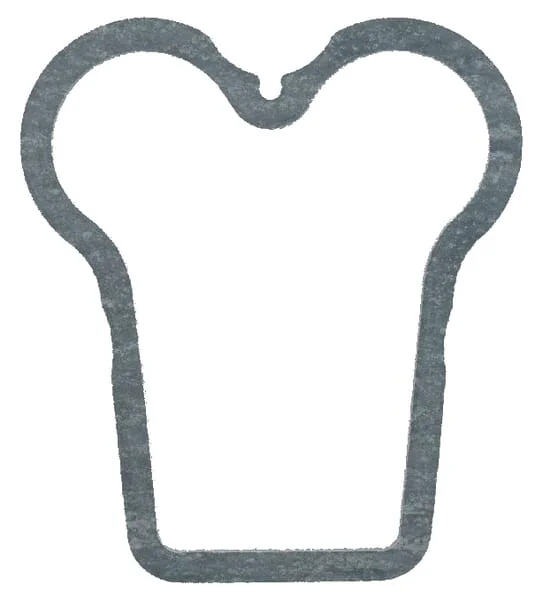 Glaser Dana - F385200210171N - Ventildeckeldichtung